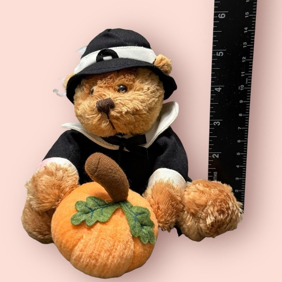 2006 Plushland Thanksgiving Pilgrim Bear March of Dimes Plush 6" - Picture 5 of 5